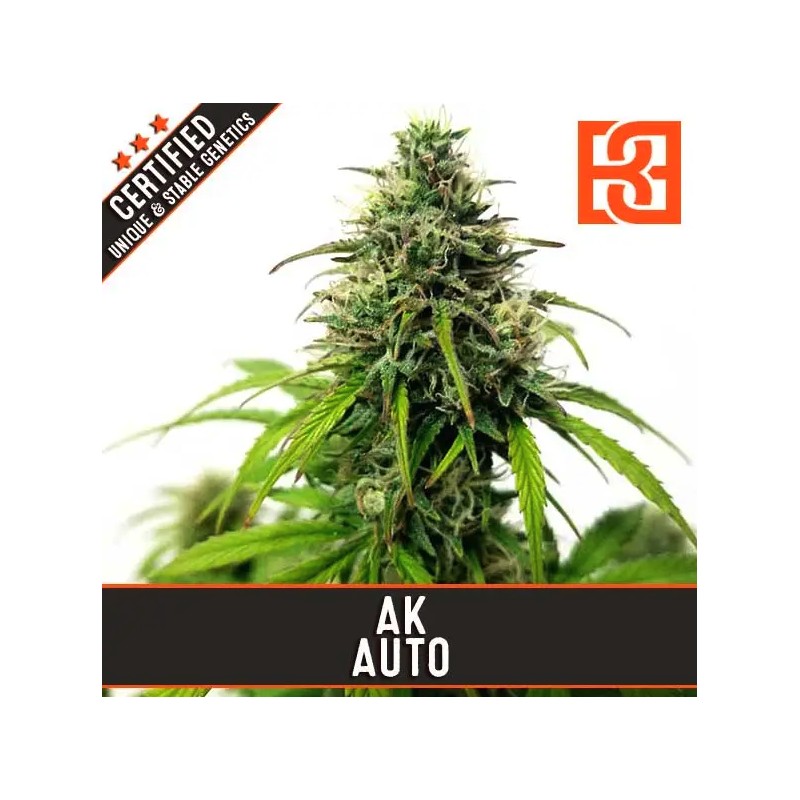 AK Auto · Blimburn Seeds · graines de cannabis · AutoFem