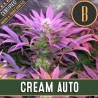 Cream Auto · Blimburn Seeds · kaufen cannabis samen · AutoFem