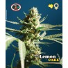 SCH LEMON CAKE  · Big Buddha Seeds · graines de cannabis · Fem