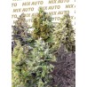 SWEET MIX AUTO · Sweet Seeds · cannavis samen · AutoFem