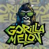 Gorilla Melon · FastBuds Seeds · kaufen cannabis samen · Fem