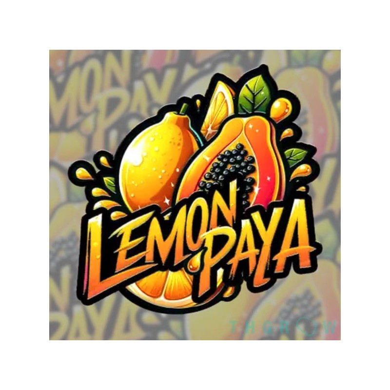 Lemonpaya · FastBuds Seeds · cannabis samen · Fem