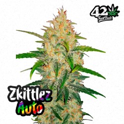 Zkittlez Auto · FastBuds...