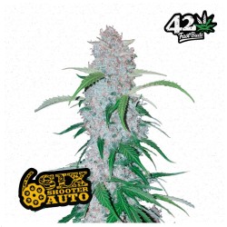 Six Shooter Auto · FastBuds...