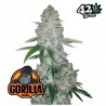 Gorilla Glue Auto – Autoflower Samen FastBuds Seeds