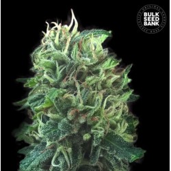 GREEN SCOUT COOKIES · Bulk...
