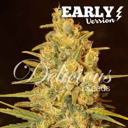 CRITICAL SENSI STAR EARLY...