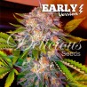CARAMELO EARLY VERSION · Delicious · graines de cannabis · Fem
