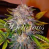 CARAMELO · Delicious · graines de cannabis · Fem