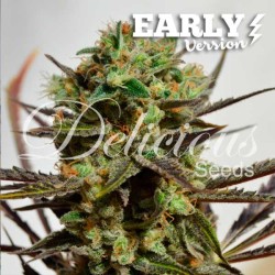 DELICIOUS CANDY EARLY...