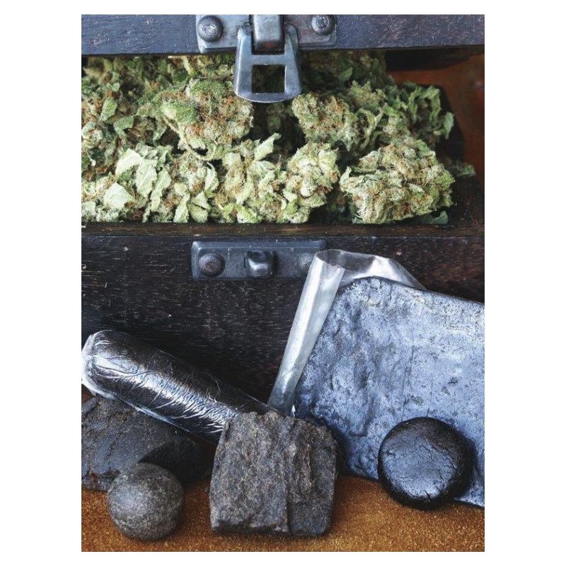 HASHBERRY · Mandala Seeds · graines de cannabis - Reg