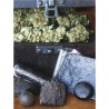HASHBERRY · Mandala Seeds · kenevir tohum - Reg