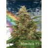 MANDALA I · cannabis samen · Reg