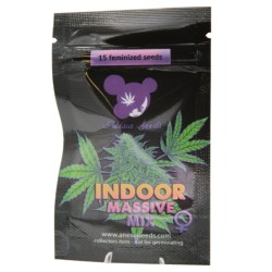 INDOOR MASSIVE MIX · Anesia Seeds · graines de cannabis  · Fem