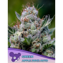 GREEN APPLE JUICE AUTO ·...