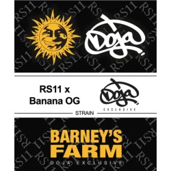 RS11 X BANANA OG · Barneys...