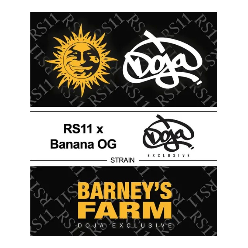 RS11 X BANANA OG · Barneys Farm · sementes de maconha · Fem