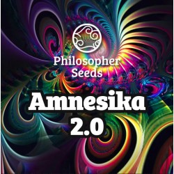 AMNESIKA 2.0 · Philosopher...