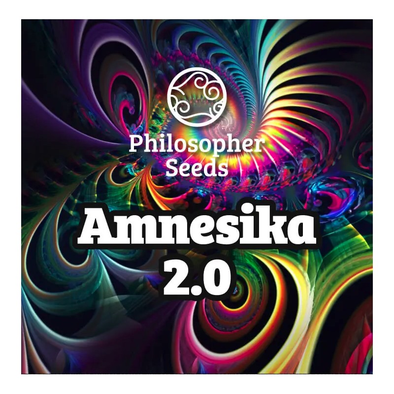 AMNESIKA 2.0 · Philosopher Seeds · kenevir tohum · Disi · Fem