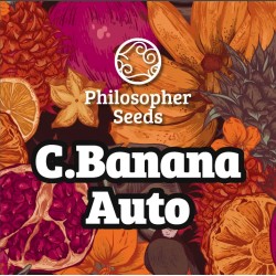 C BANANA AUTO · Philosopher...