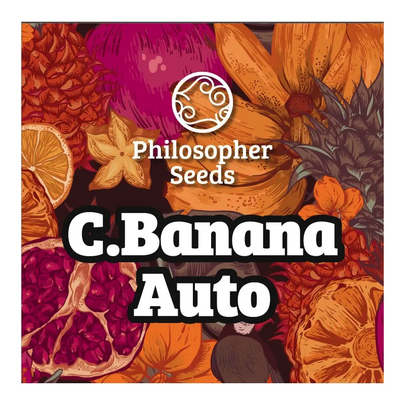 C BANANA AUTO · Philosopher Seeds · semi di canapa indiana · AutoFem