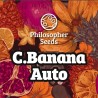 C BANANA AUTO · Philosopher Seeds · semi di canapa indiana · AutoFem