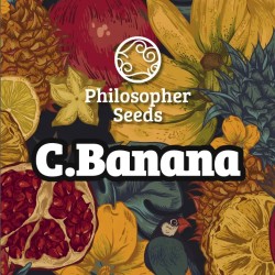 C BANANA · Philosopher...