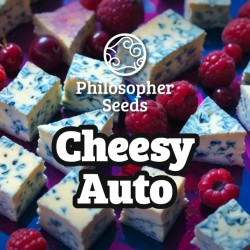 CHEESY AUTO · Philosopher...