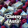 CHEESY AUTO · Philosopher Seeds · kenevir tohum · Auto Fem