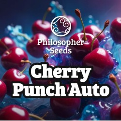 CHERRY PUNCH AUTO ·...