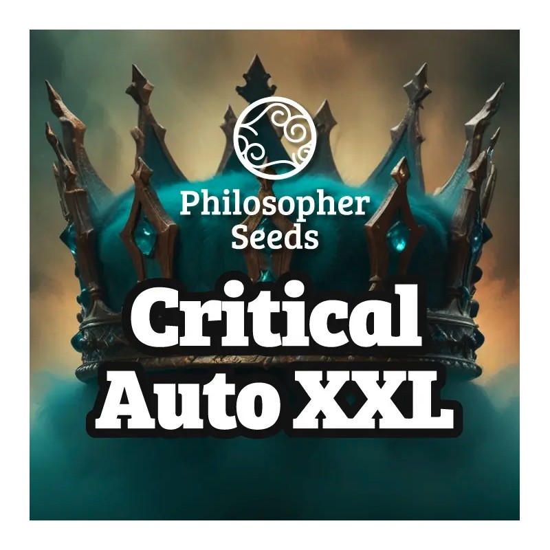 CRITICAL AUTO XXL · Philosopher Seeds · semi di canapa indiana · AutoFem