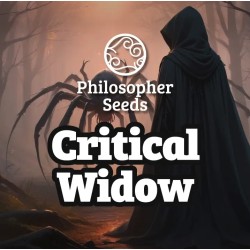 CRITICAL WIDOW ·...