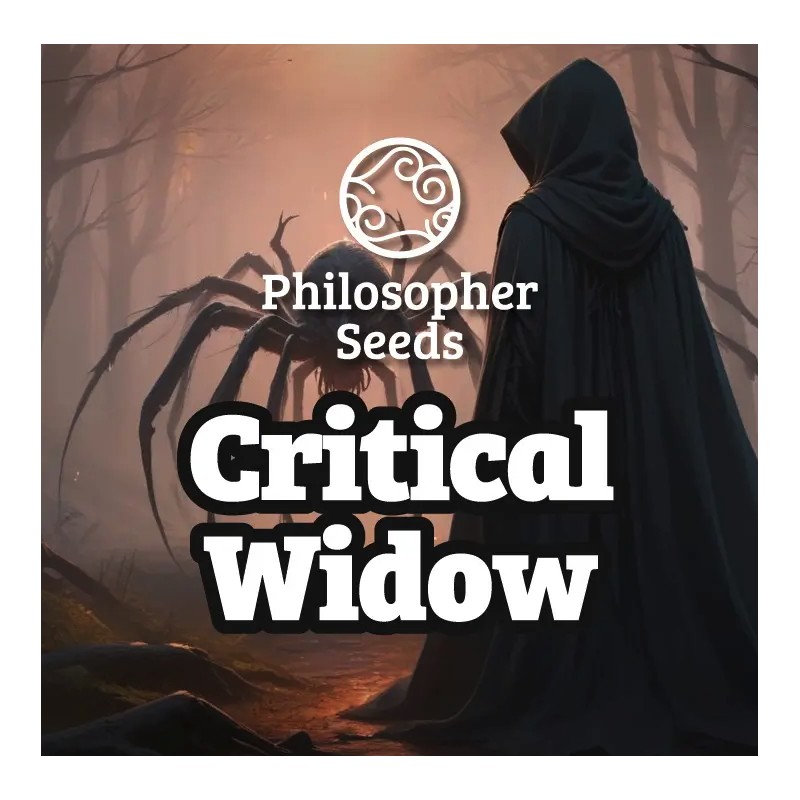 CRITICAL WIDOW · Philosopher Seeds · semillas de marihuana · Fem