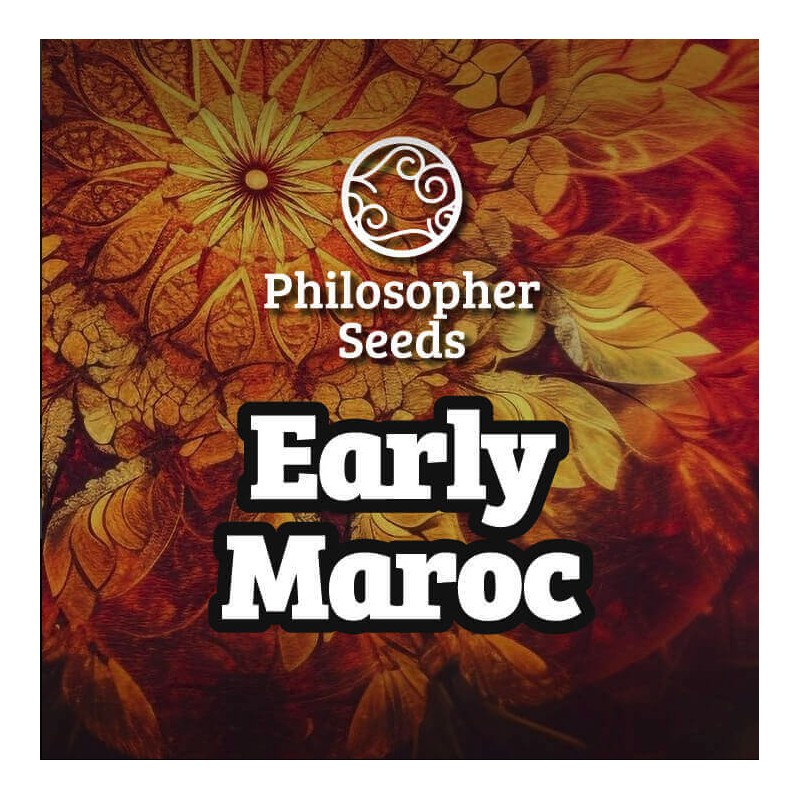 EARLY MAROC · Philosopher Seeds · sementes de maconha · Fem