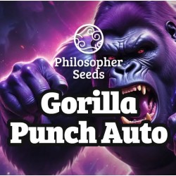 GORILLA PUNCH AUTO ·...
