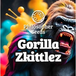 GORILLA ZKITTLEZ ·...