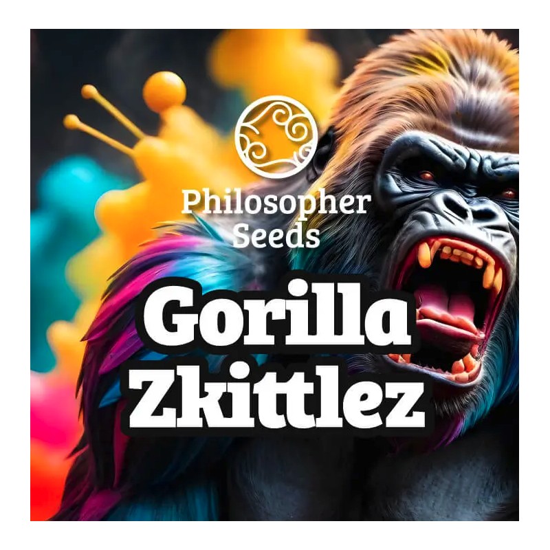GORILLA ZKITTLEZ · Philosopher Seeds · graines de cannabis · Fem
