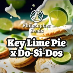 KEY LIME PIE X DOS-SI-DOS ·...