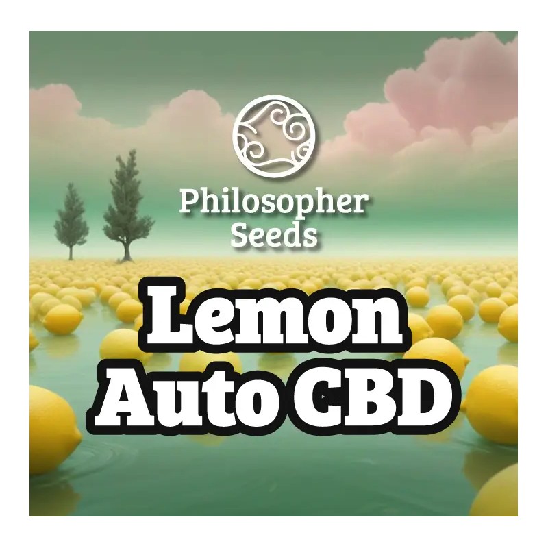 LEMON AUTO CBD · Philosopher Seeds · semi di canapa indiana · Auto Fem