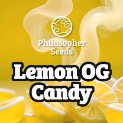 LEMON OG CANDY ·...