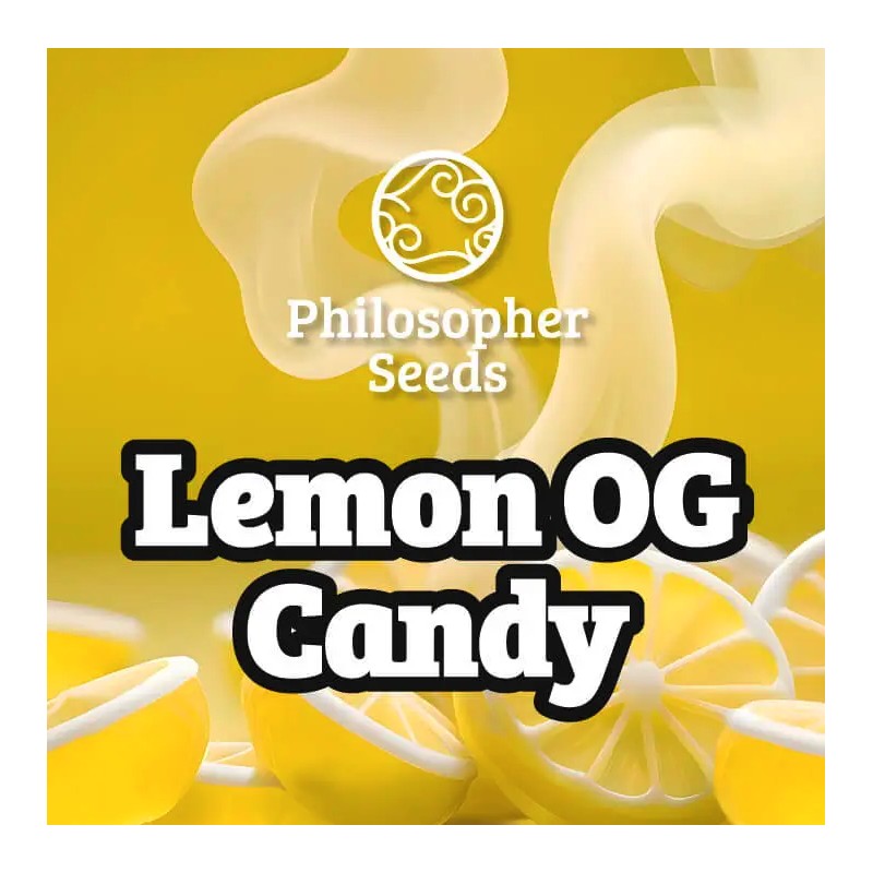 LEMON OG CANDY · Philosopher Seeds · semi di canapa . Fem