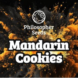 MANDARINE COOKIES ·...