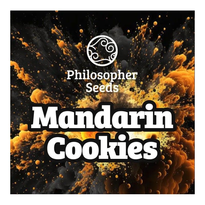 MANDARINE COOKIES · Philosopher Seeds · graines de cannabis · Fem