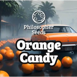 ORANGE CANDY · Philosopher...