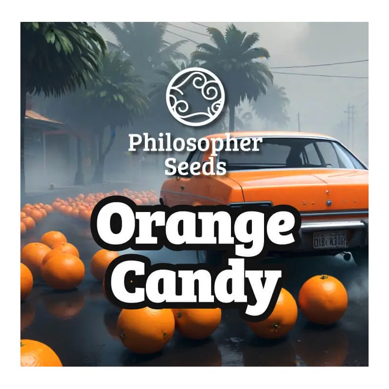 ORANGE CANDY · Philosopher Seeds · graines de cannabis · Fem