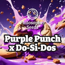 PURPLE PUNCH X DO-SI-DOS ·...