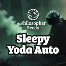 SLEEPY YODA AUTO ·...