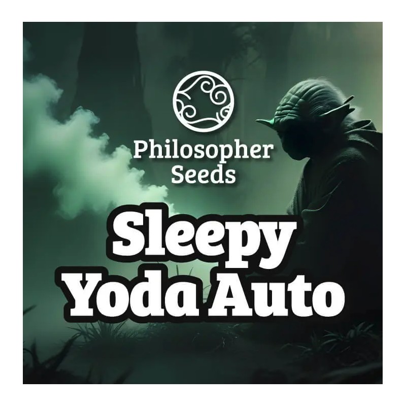 SLEEPY YODA AUTO · Philosopher Seeds · kaufen cannabis samen · Auto Fem