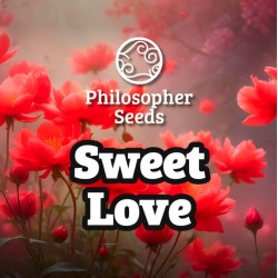 SWEETLOVE · Philosopher...