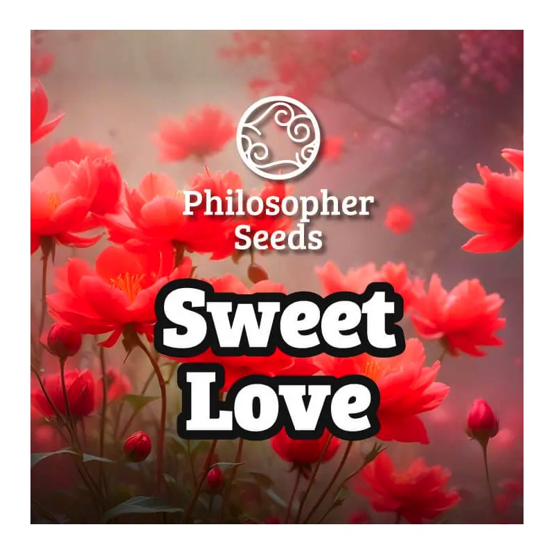SWEETLOVE · Philosopher Seeds · cannabis samen · Fem
